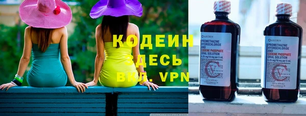 шишки Абаза