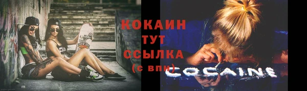 шишки Абаза
