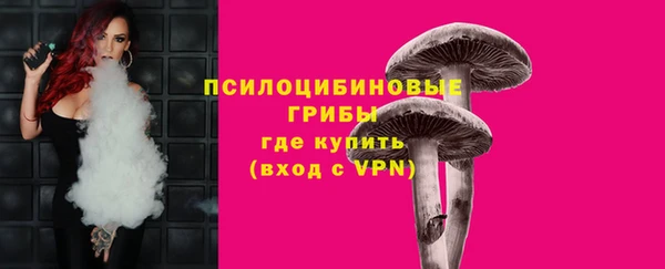 гидра Алзамай