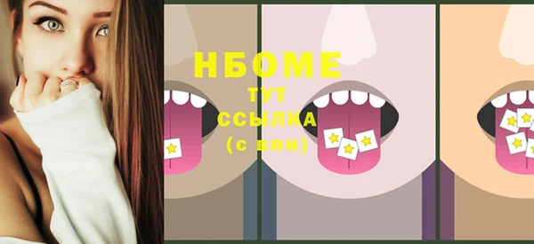 шишки Абаза