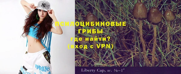 шишки Абаза