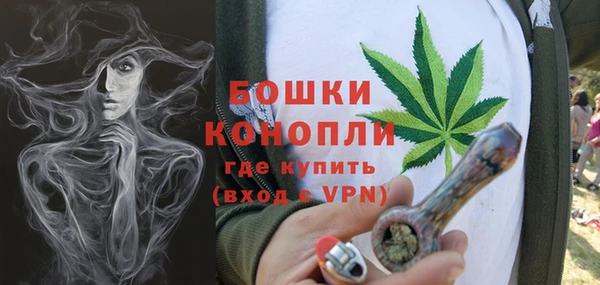 шишки Абаза