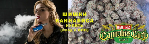 стаф Абдулино