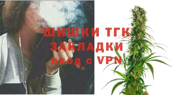 МДПВ Алексеевка