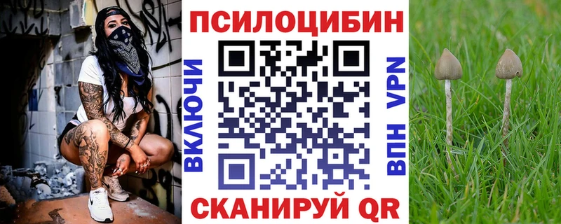 Псилоцибиновые грибы Cubensis  Нолинск 